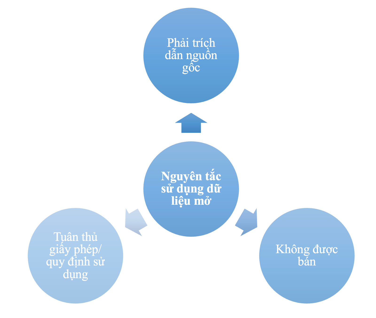 Dữ liệu mở, Hệ thống Dữ liệu mở, Open Data, Lợi ích dữ liệu mở, Triển khai dữ liệu mở, Công cụ dữ liệu mở, Nguyên tắc sử dụng dữ liệu mở 